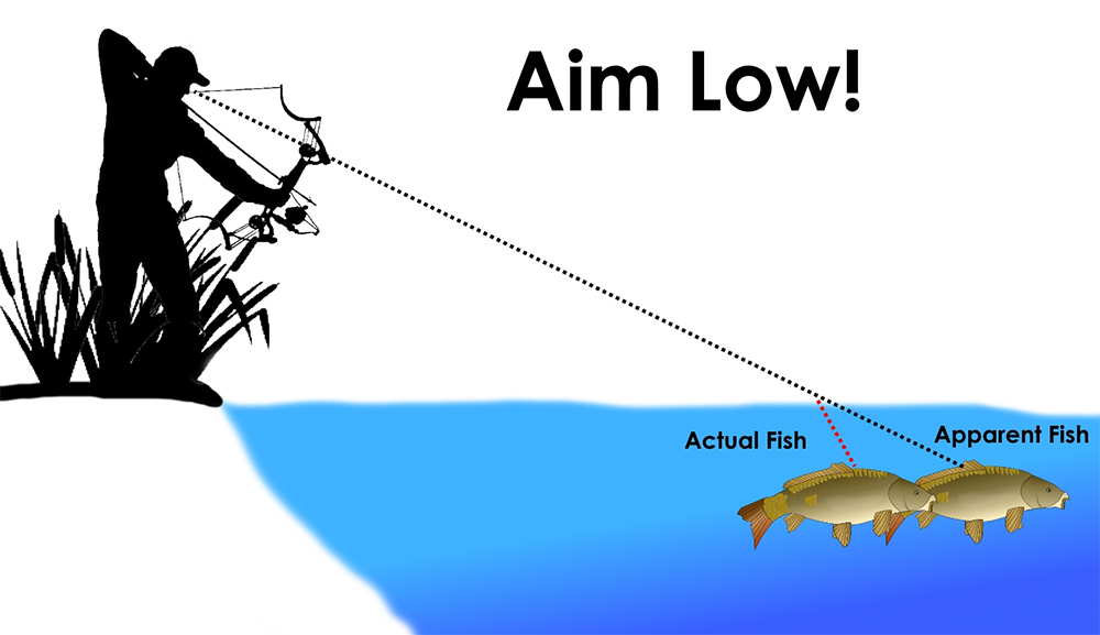 Tip How To Aim When Spearfishing Bowfishing Recoil Offgrid