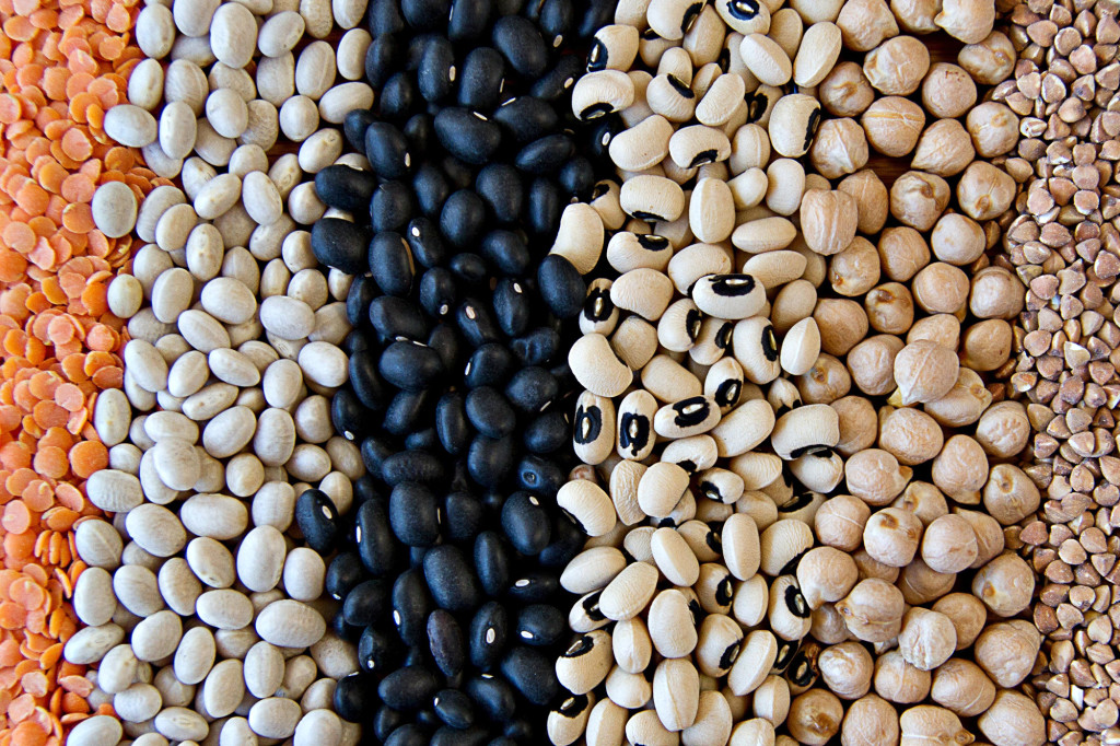 Survival food beans