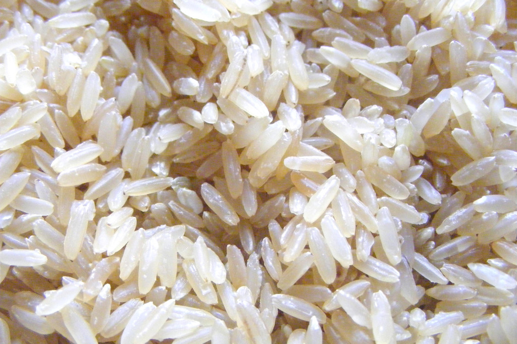 Survival food rice