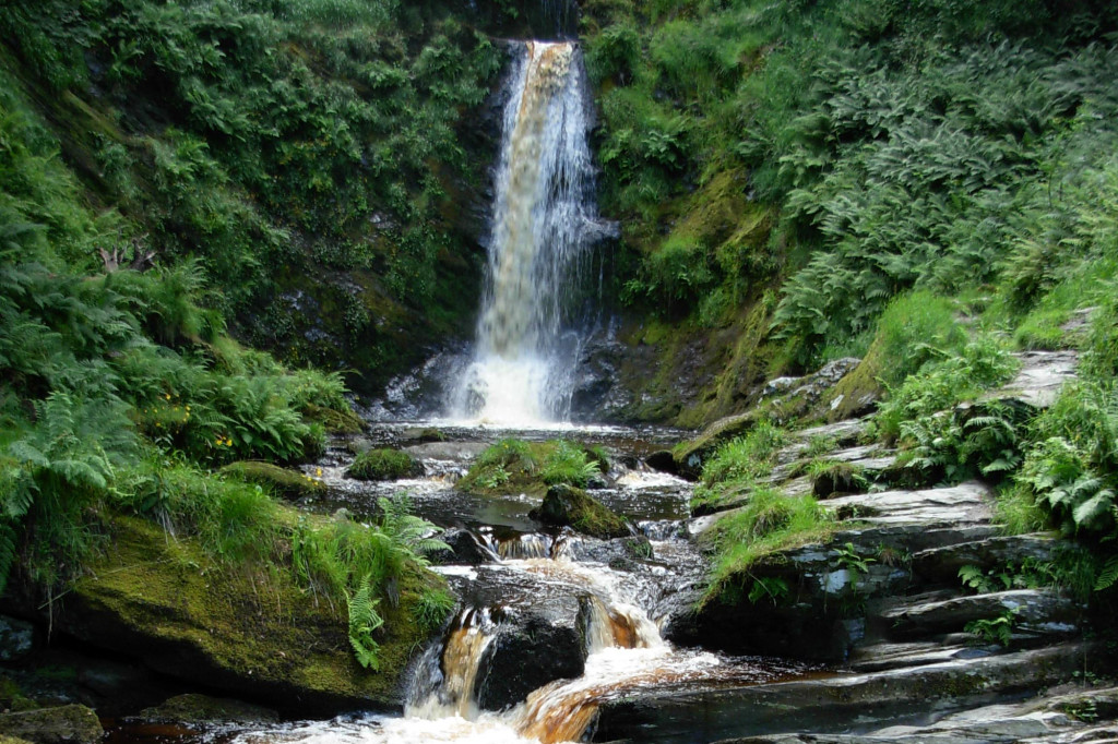 Waterfall and stream