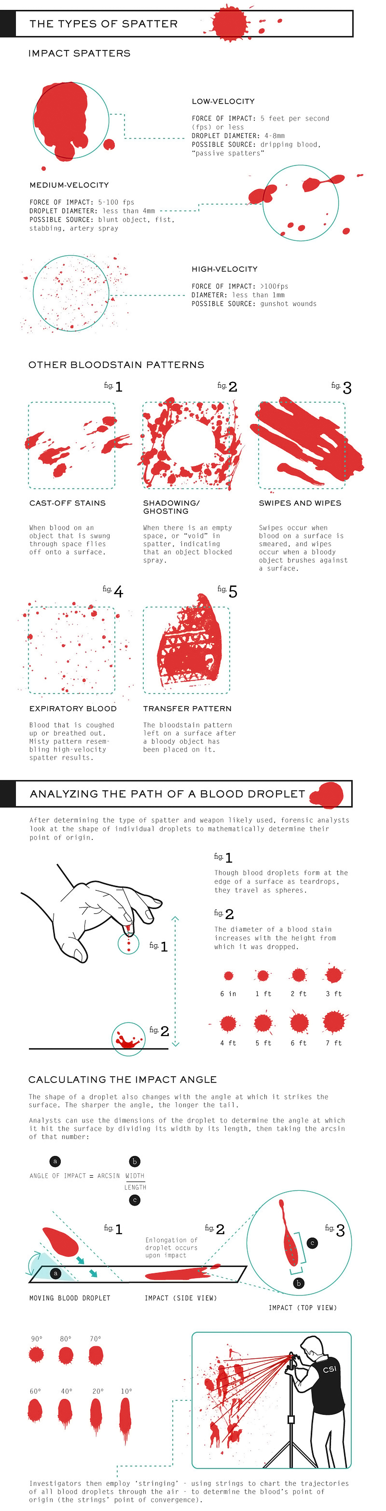 Bloodstain Pattern Analysis 2