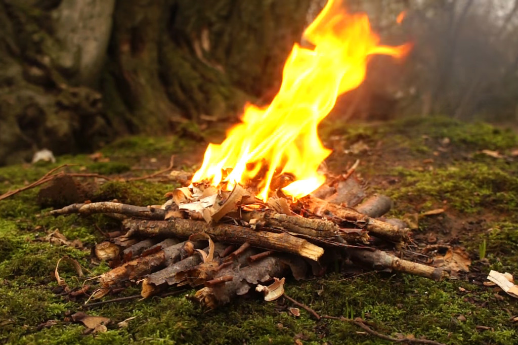 10 Natural Fire Tinders 4