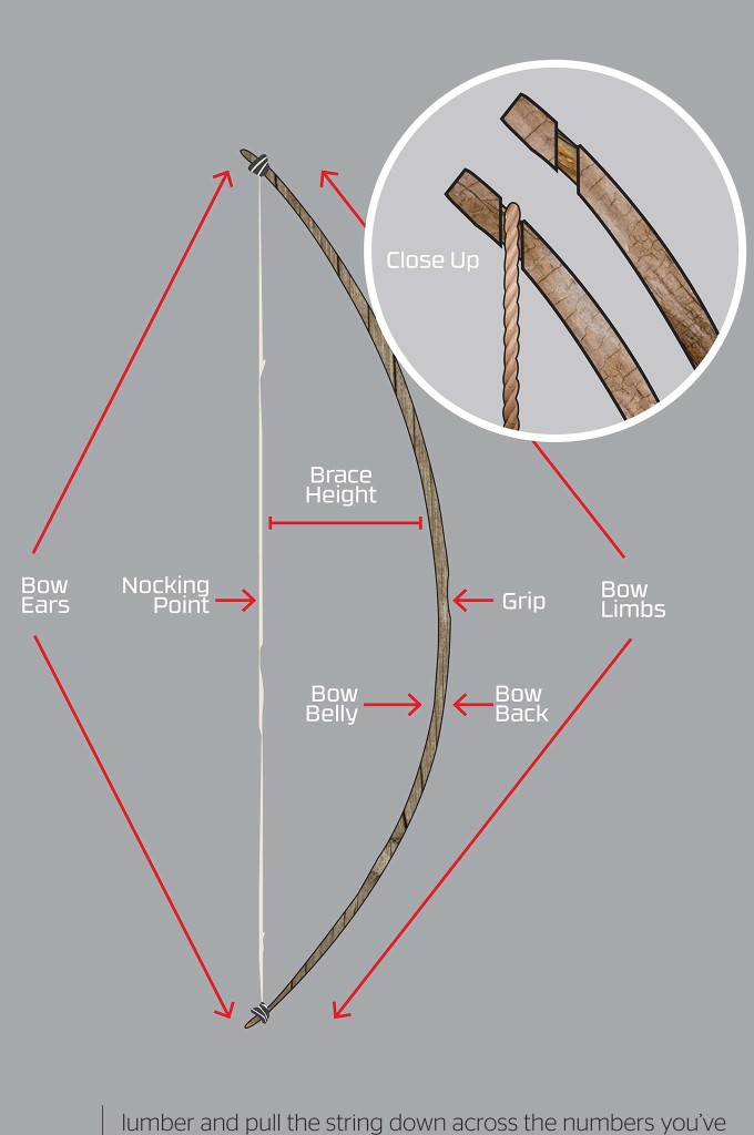 build-your-own-survival-bow-stick-bow-bow-anatomy
