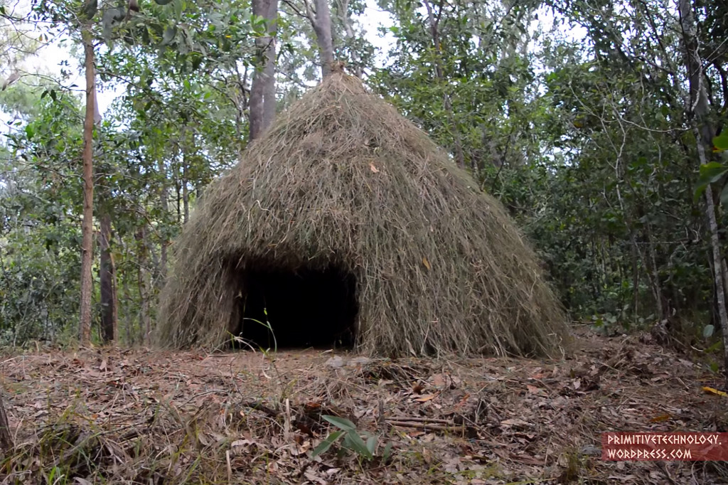 Primitive technology build a grass hut 3