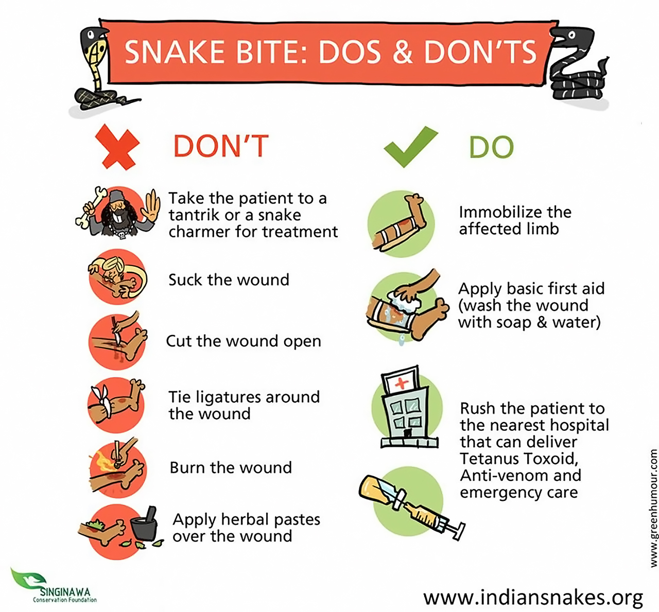Infographic: Snake Bite First Aid | RECOIL OFFGRID