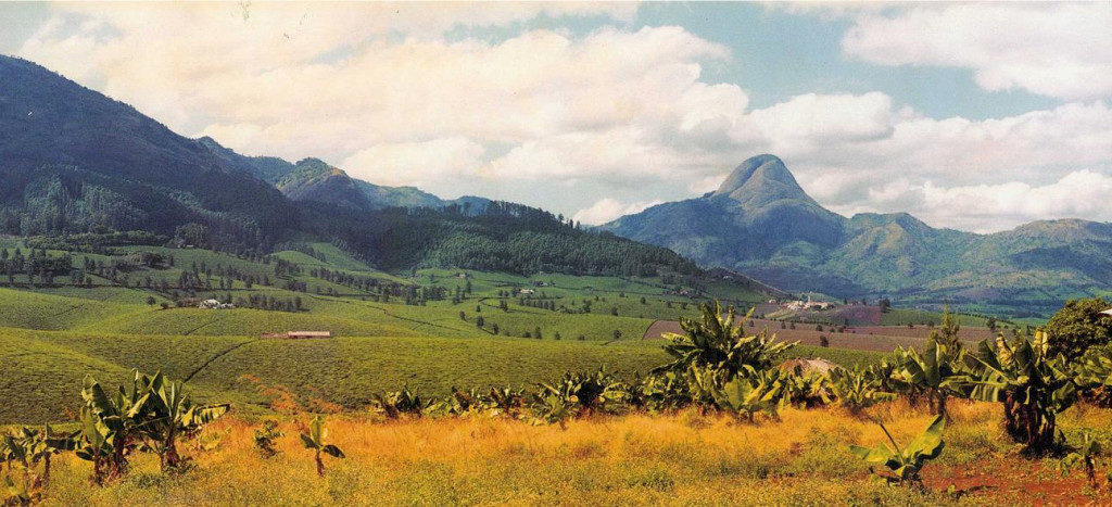 Mozambique mayhem mountain field 4