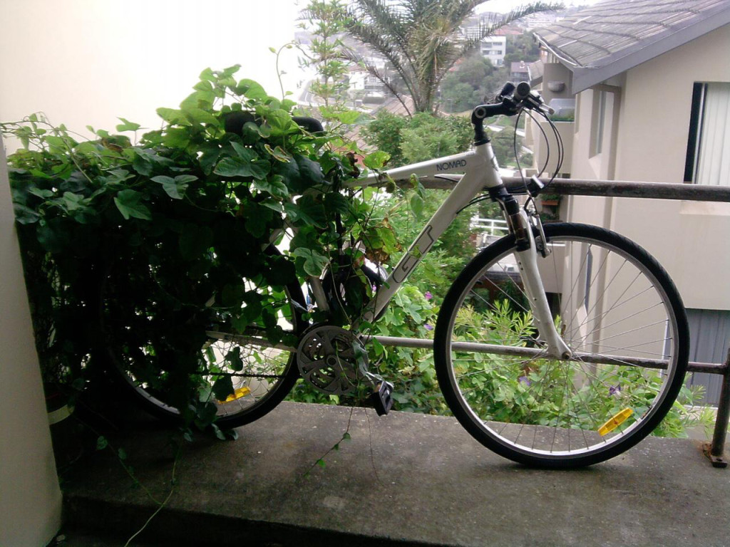 Bicycles can be found throughout virtually all urban areas, and are often abandoned during disasters.