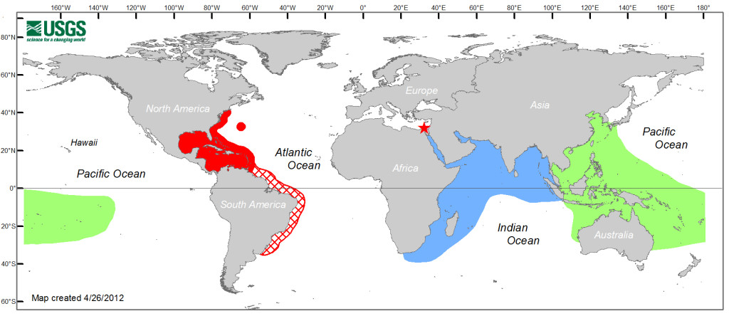 The natural range of the lionfish (blue and green) versus its invasive range (red). Red hatching shows predicted future growth. Source: USGS.gov