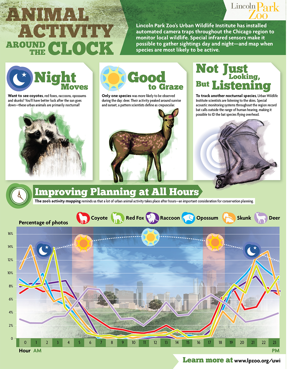 Infographic: Animal Sleep Patterns & Nocturnal Activity | RECOIL OFFGRID