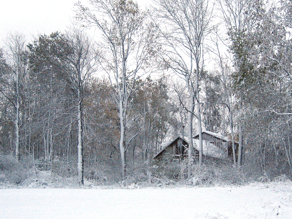 Survival scenarios winter log cabin house snow