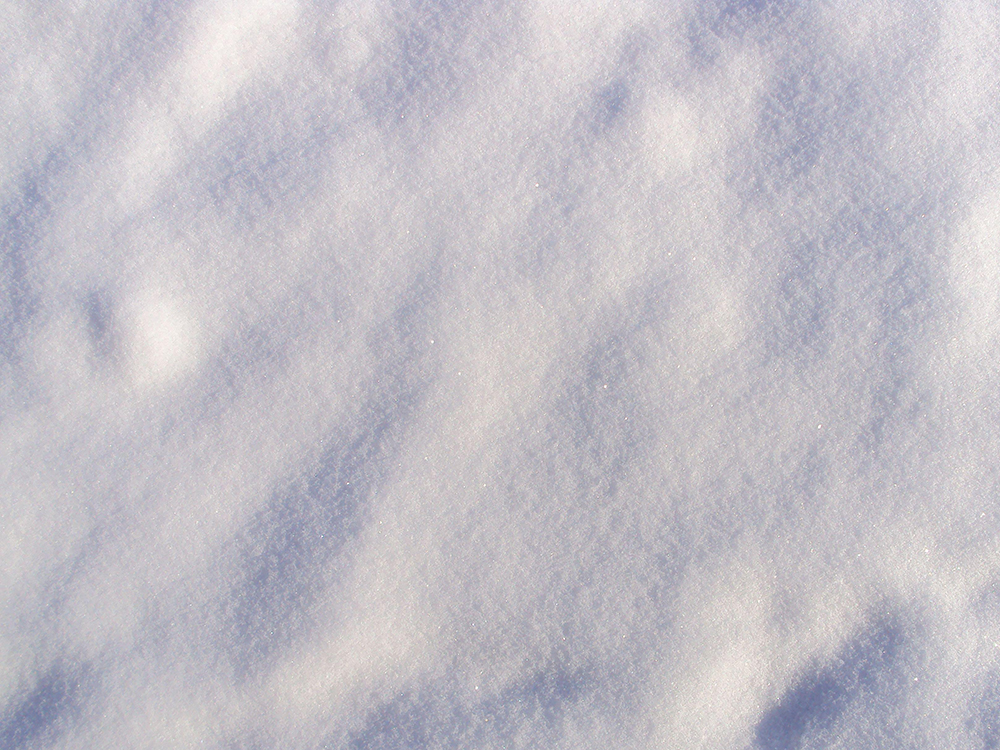 Survival scenarios winter snow powder