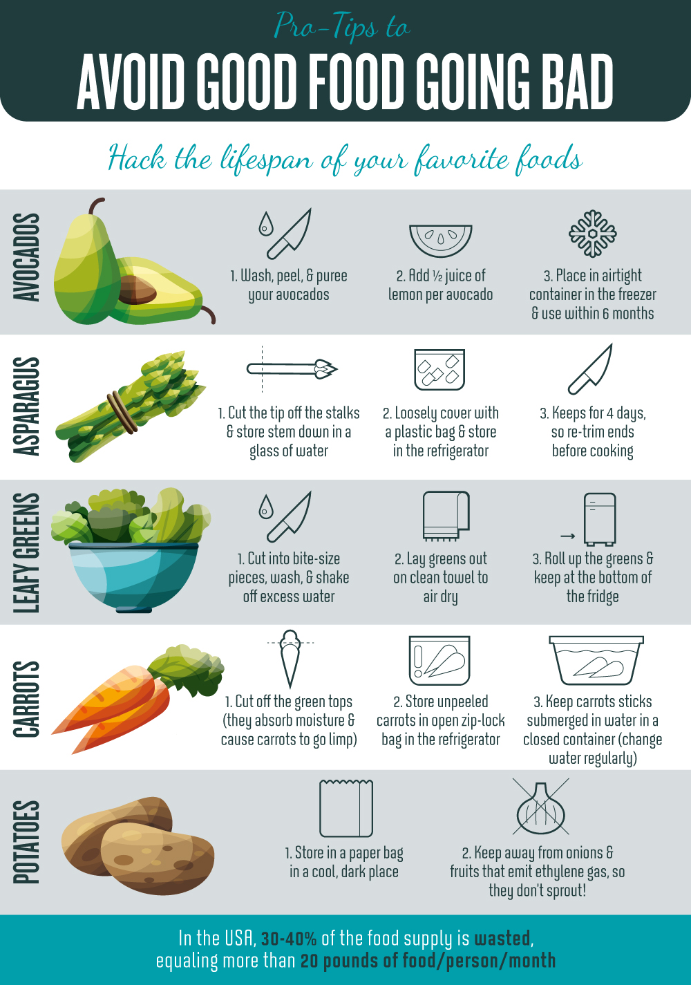 Food storage meat vegetables fruit garden infographic 4