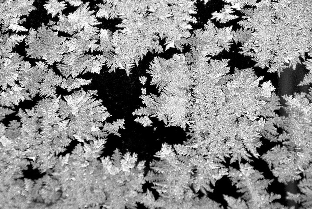 Frostbite snow cold winter ice frost 9