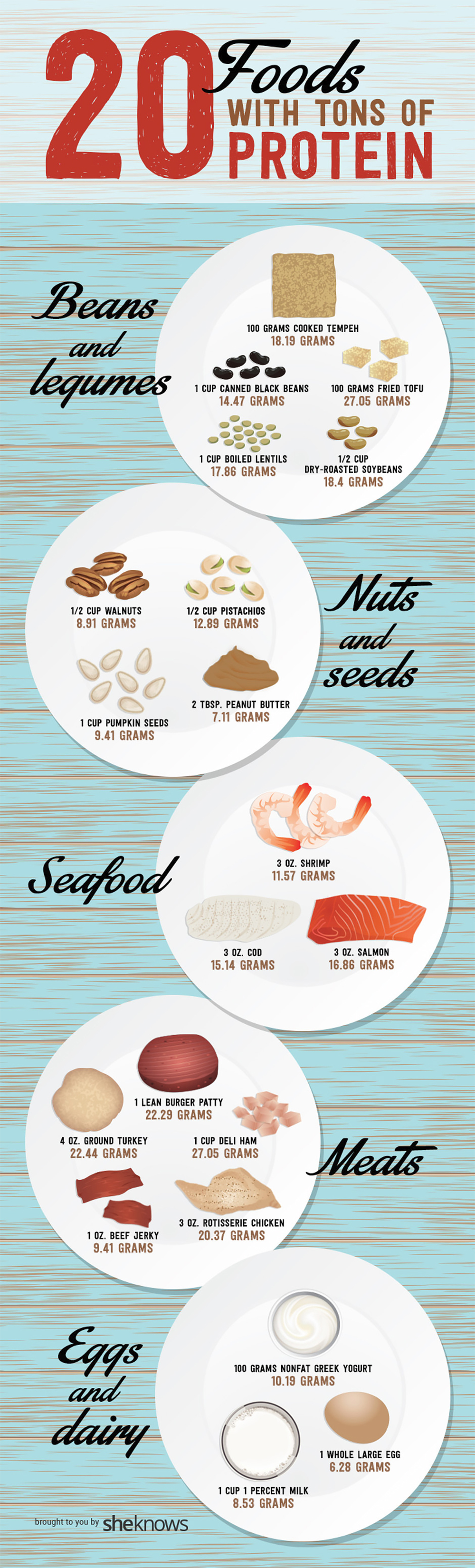 Infographic protein rich food hunting plants health 1