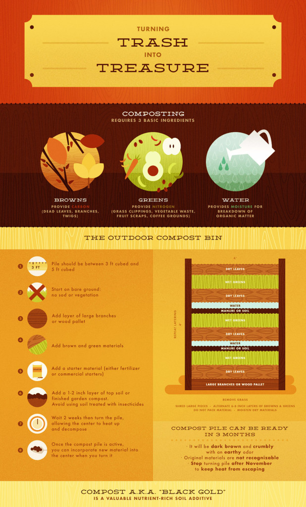 Infographic compost gardening food plants trees fruit vegetable 2