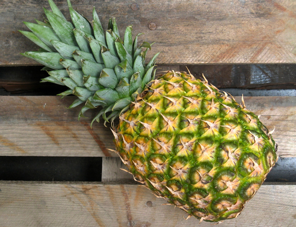 Infographic food regrow fruit garden plant pineapple 8