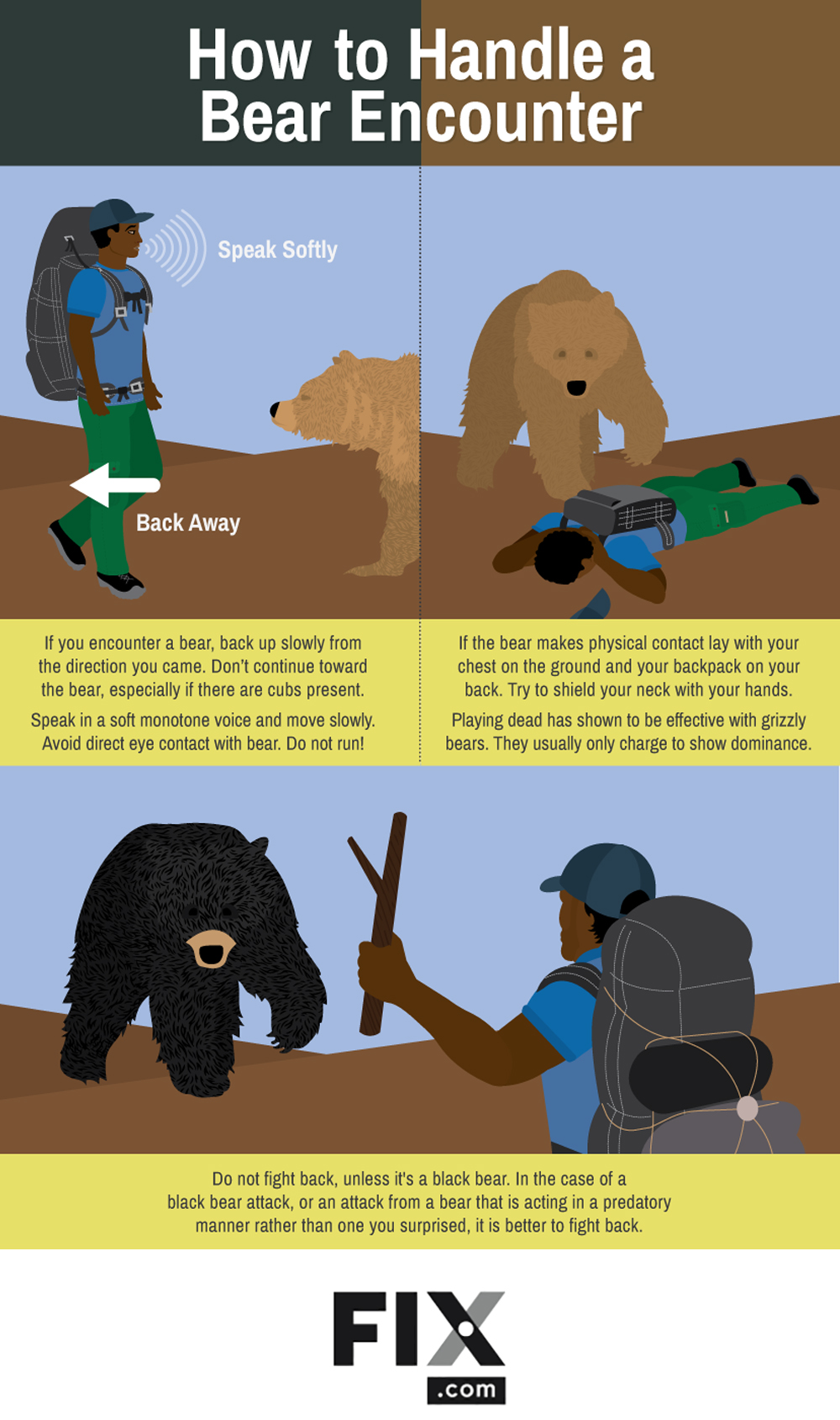 Infographic Safety Tips for Bear Country RECOIL OFFGRID