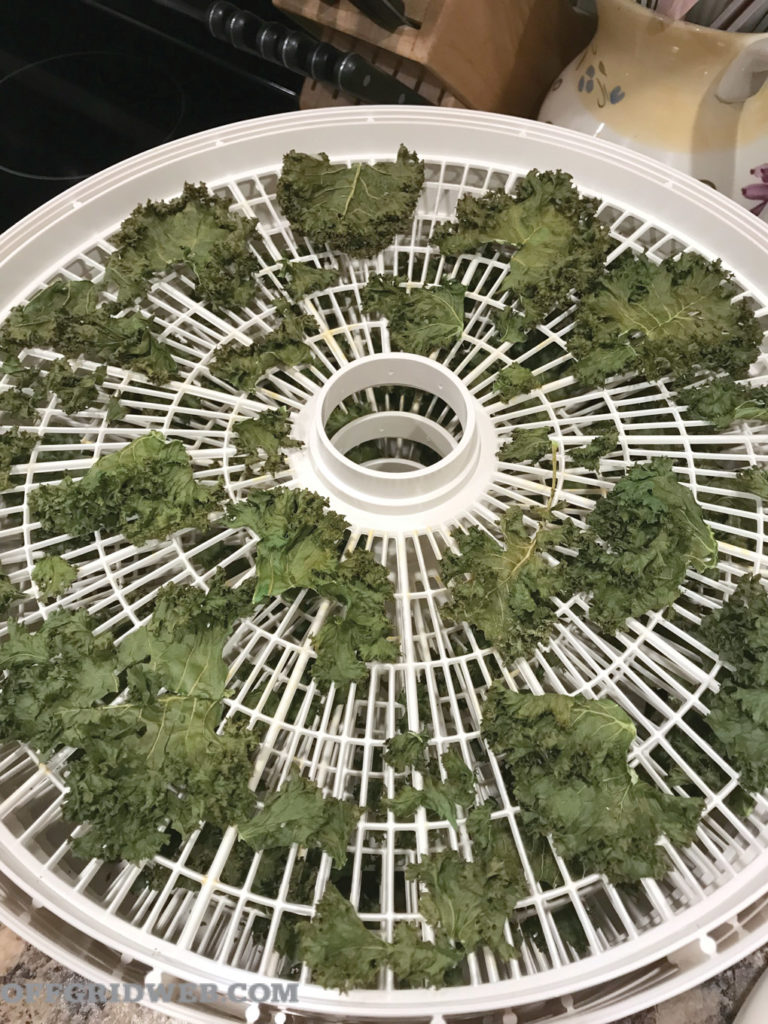 dehydrating vegetables